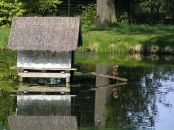 Саша Хоміч фотография #3 (источник - https://vk.com/id71475948)