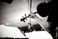 Фотография Завгородного Алексея