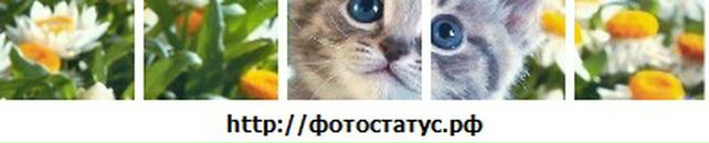 Ліна Болібрух фотография #34 (источник - https://vk.com/id64600387)