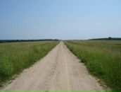 Фотография Борщевской Софьи