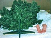 Фотография Комарова Романа