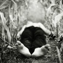 Поліна Засадко фотография #48 (источник - https://vk.com/id7181771)