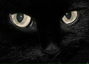 Фотография Дружинин Константин