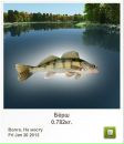 Марія Москаль фотография #18 (источник - https://vk.com/id76916889)