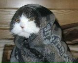 Александр Репко фотография #6 (источник - https://vk.com/id5778147)