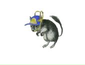 Фотография Максимова Алексея