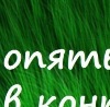 Іра Біда фотография #44 (источник - https://vk.com/id132253975)