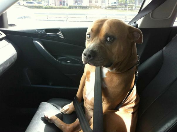 Данил Беляев фото №24