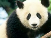 Сергій Руль фотография #26 (источник - https://vk.com/id50666197)