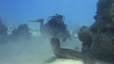 Фотография Блоныч Людыч