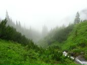 Олексій Підлубний фотография #21 (источник - https://vk.com/id13157390)