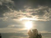 Фотография Чекалиной Екатерины