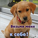 Євген Вощинкін фотография #12 (источник - https://vk.com/id97622360)