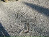 曦 巴 фотография #29 (источник - https://vk.com/id151632031)