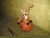 Фотография Курышева Алексея