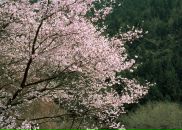 Фотография Феденко Марины