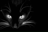 Фотография Николовой Венеты