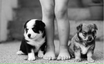 Фотография Милюкова Ивана