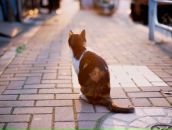 Фотография Ворониной Анастасии