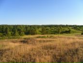 Гена Синило фотография #41 (источник - https://vk.com/id44843113)