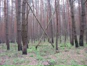 Павло Балтаєв фотография #38 (источник - https://vk.com/id5781749)
