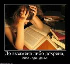 Світлана Лазарець фотография #48 (источник - https://vk.com/id18726609)