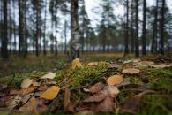 Фотография Яцевича Андрея