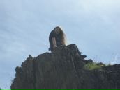 Фотография Юриновой Арины