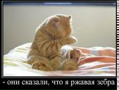 Дмитрий Сидоров фотография #24 (источник - https://vk.com/id2388749)