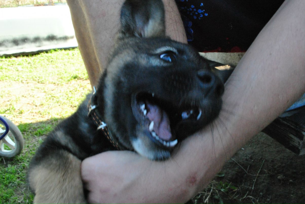 Юрий Сандырев фотография #47