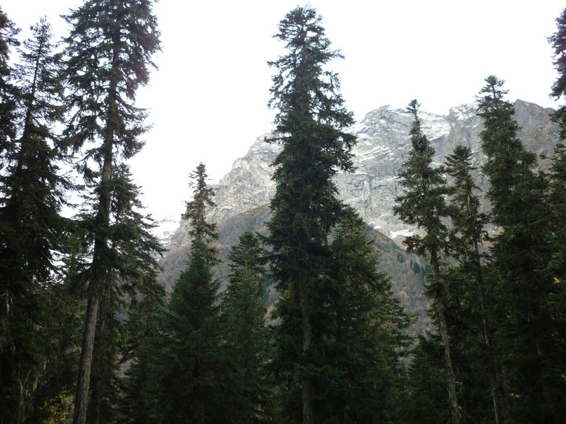 Иван Синицын фотография #13