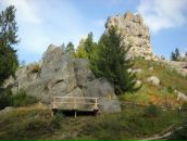 Андрій Гринович фотография #29 (источник - https://vk.com/id63076320)