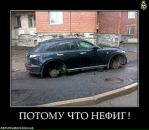 Марта Купріна фотография #40 (источник - https://vk.com/id62935114)