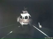 Стас Гребиньский фотография #25 (источник - https://vk.com/id85393011)