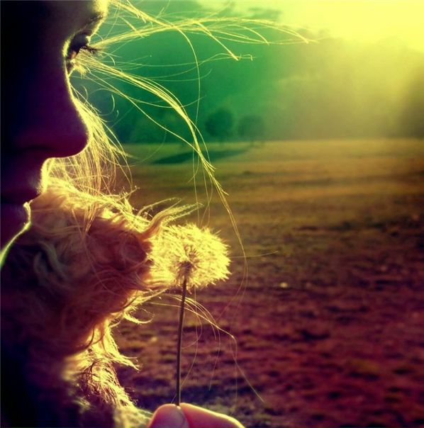 Стаф Смит фото №1