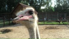 Фотография Валентиныча Виталия