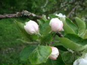 Віктор Охремов фотография #12 (источник - https://vk.com/id58064281)