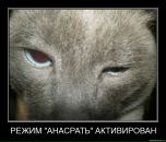 Фотография Маковеевой Екатерины