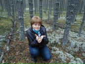 Фотография  