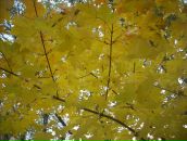 Фотография Кулагиной Екатерины