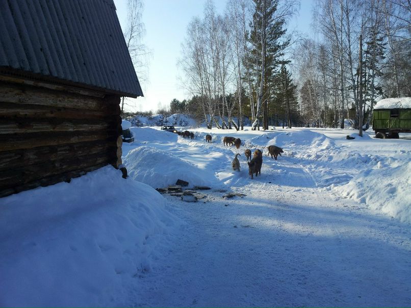 Роман Ринг фотография #7