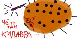 Фотография Федоровой Настасьи