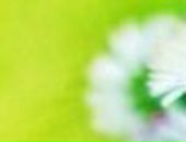 Ілона Лебеденко фотография #4 (источник - https://vk.com/id56674792)