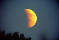 Ваня Милянович фотография #17 (источник - https://vk.com/id60584908)