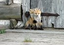 Ілдіка Серик фотография #47 (источник - https://vk.com/id158977668)