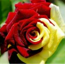 Юлія Ганжа фотография #13 (источник - https://vk.com/id168453202)