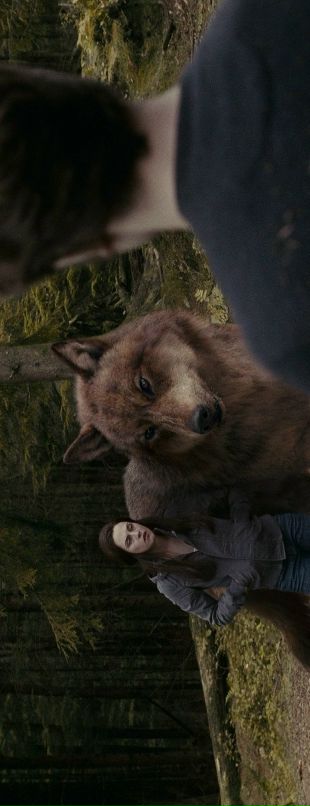 Джей Блэк фотография #17