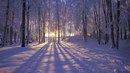 Γеоргий Κрасильников фотография #1