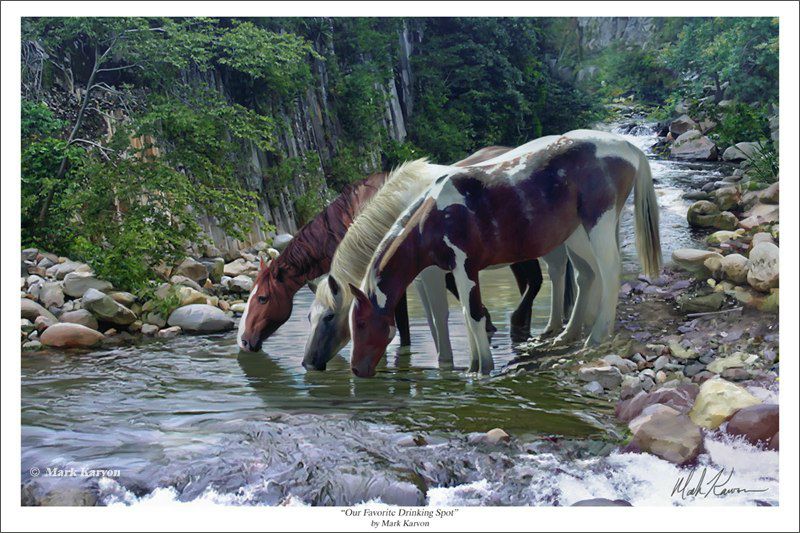 Вадик Ересь фото №22