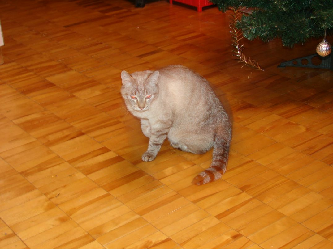 Игорь Огородников фотография #12